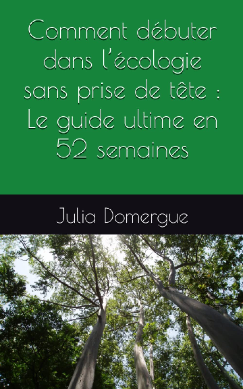 Comment débuter dans l’écologie sans prise de tête : Le guide ultime en 52 semaines Home & Household