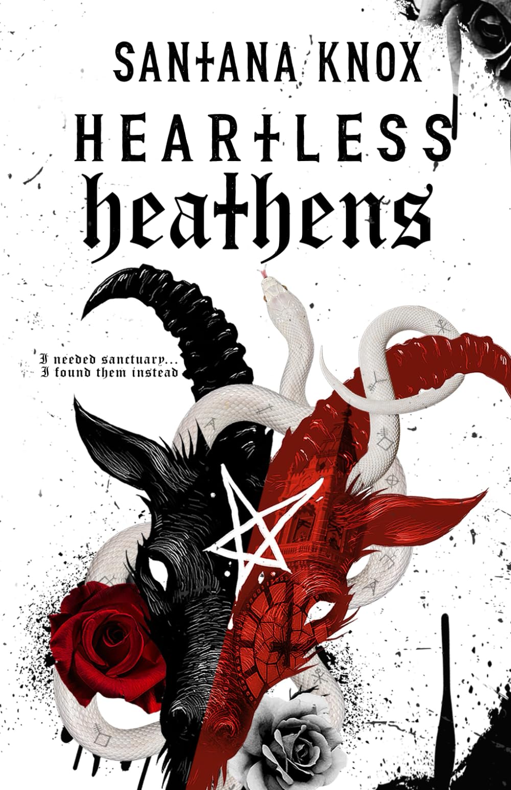 Heartless Heathens: A Why Choose Gothic Romance book