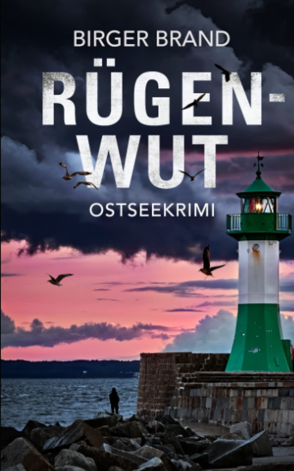 Rügenwut: Ostseekrimi (Lydia Westphal, Band 8) Art & Literature Books