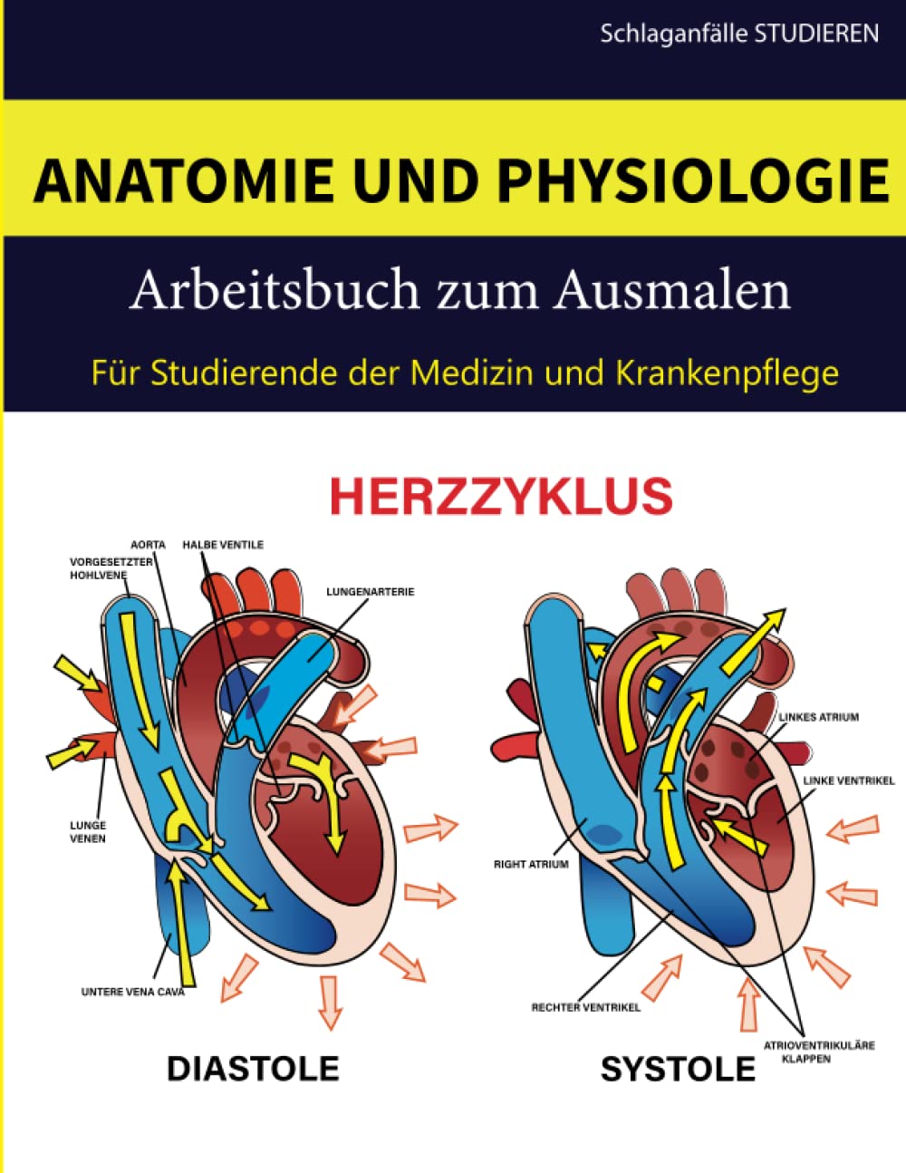 Anatomie- und Physiologie-Malbuch für Medizin- und Krankenpflegestudenten: Eine unterhaltsame und entspannende Art, A&P zu lernen und zu überarbeiten. Der ultimative Studienführer Medicine