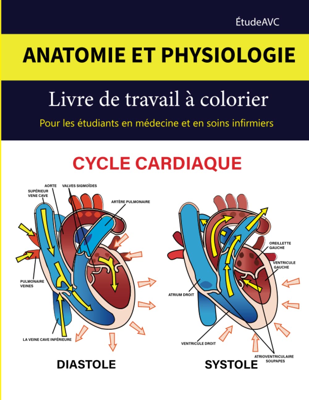 Anatomie et physiologie livre de coloriage pour les étudiants en médecine et en soins infirmiers: Une façon amusante et relaxante d'apprendre et de réviser. Le guide d'étude ultime book