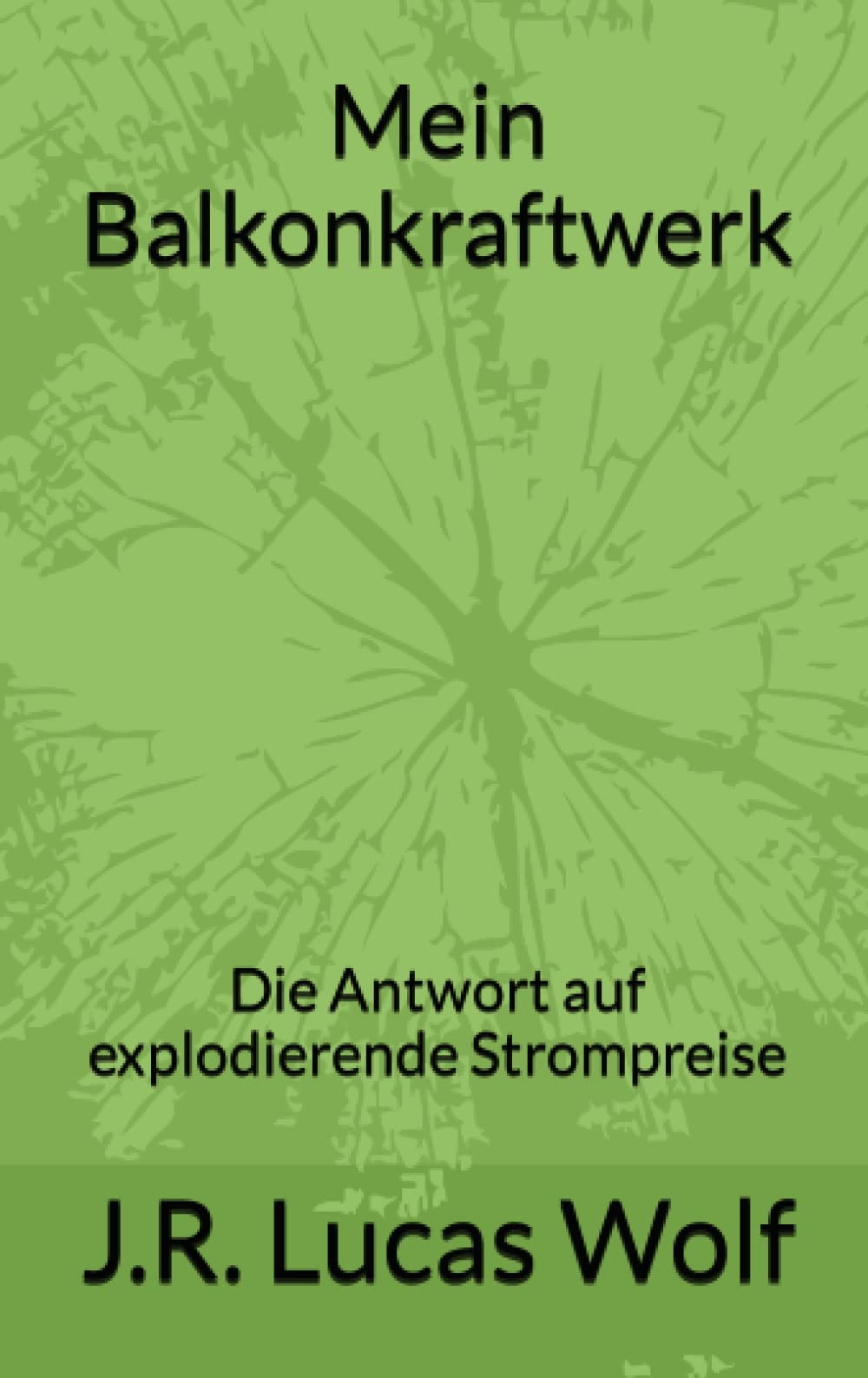 Mein Balkonkraftwerk: Die Antwort auf explodierende Strompreise Mathematics