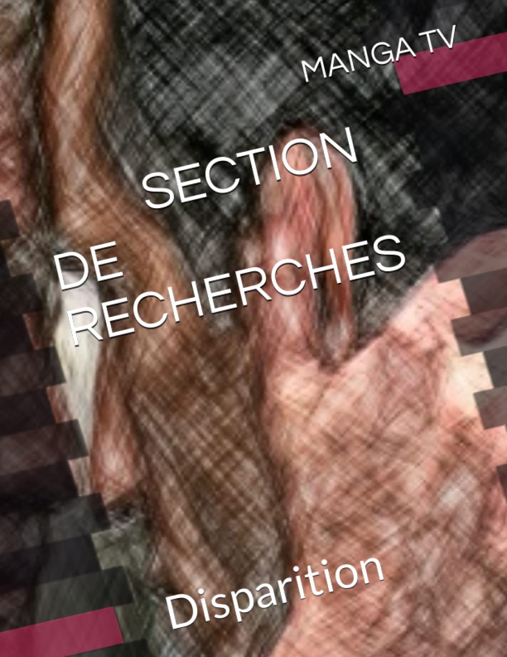 section de recherches: Disparition book