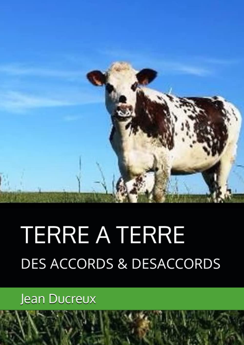 TERRE A TERRE: DES ACCORDS & DESACCORDS book