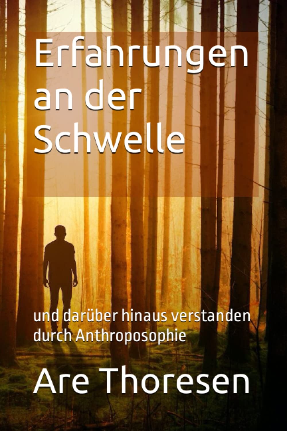 Erfahrungen an der Schwelle: und darüber hinaus verstanden durch Anthroposophie Religion & Esotericism