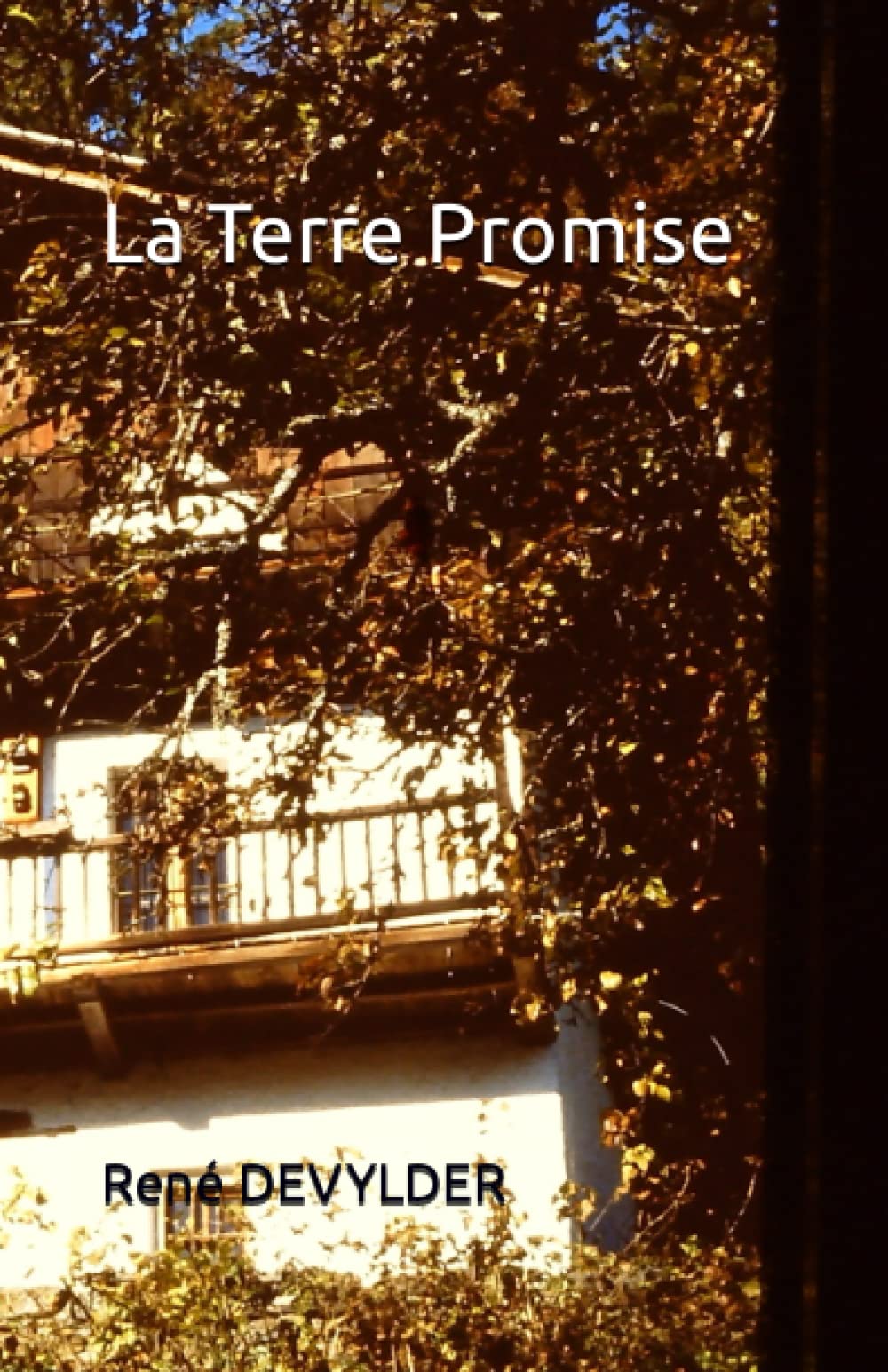 La Terre Promise (Les 30 glorieuses et les 40 suivantes, Band 6) Personalities