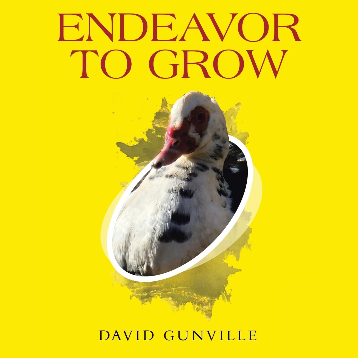 Endeavor to Grow Leisure, Home & Garden