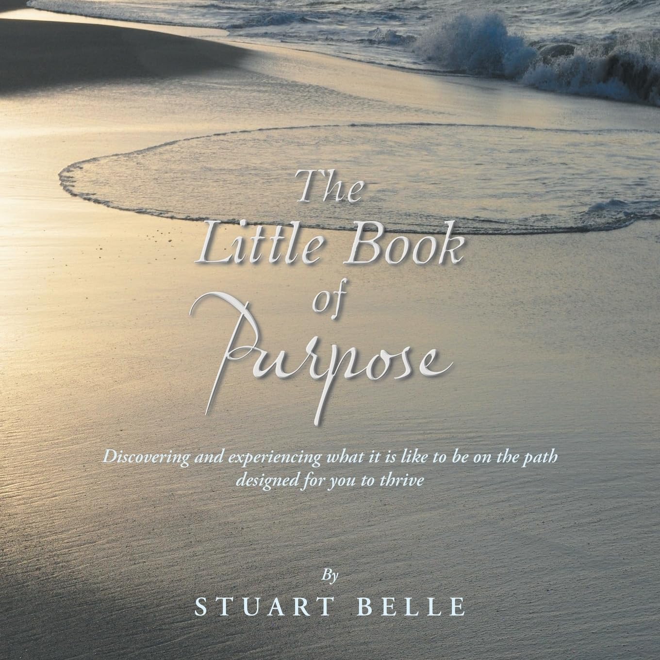 The Little Book of Purpose Religion & Esotericism