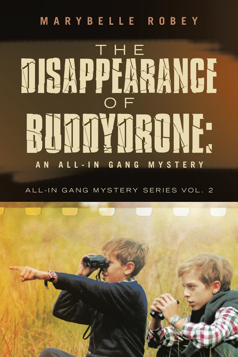 The Disappearance of BuddyDrone Novels & Short Stories