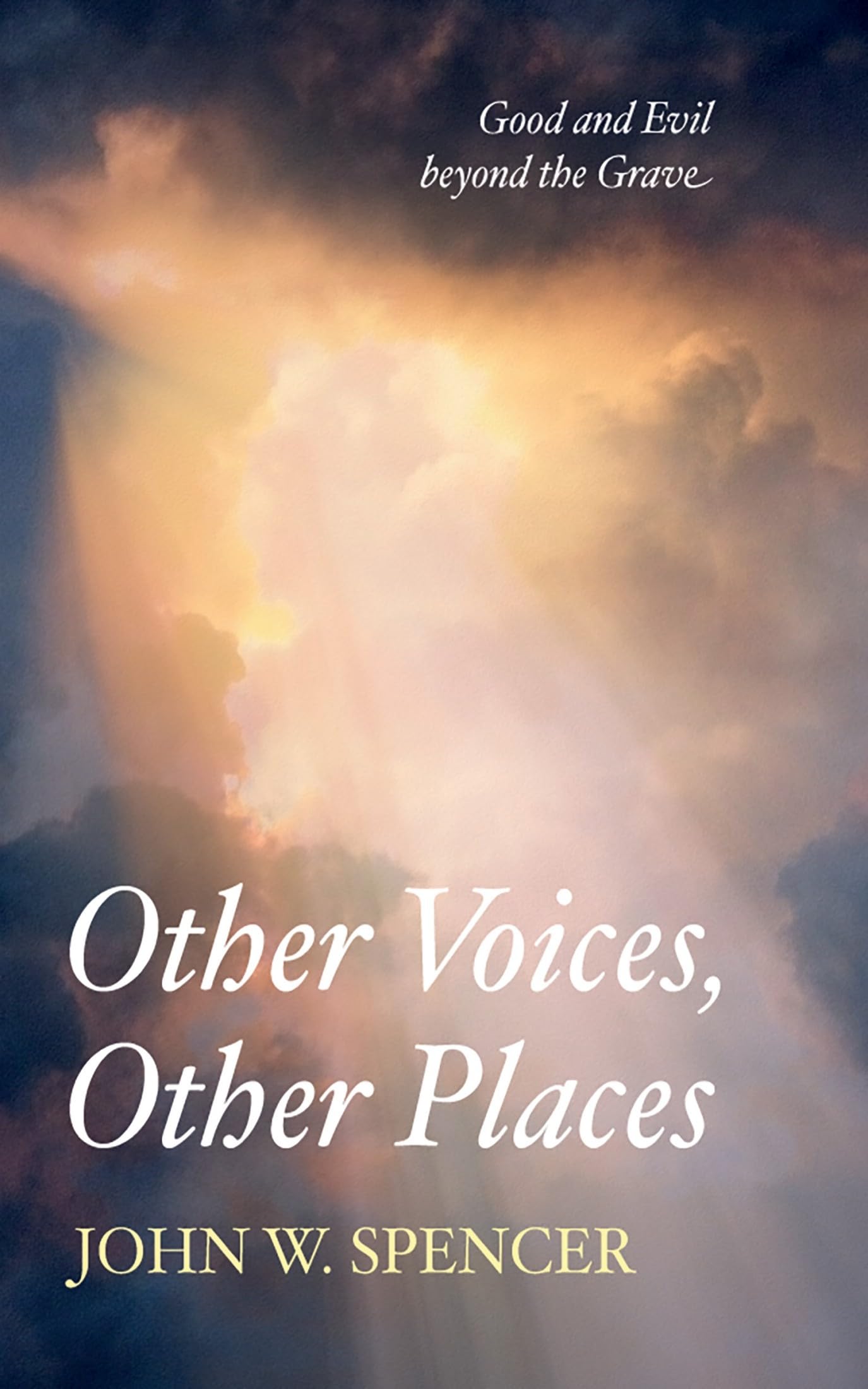 Other Voices, Other Places Suspense & Thrillers