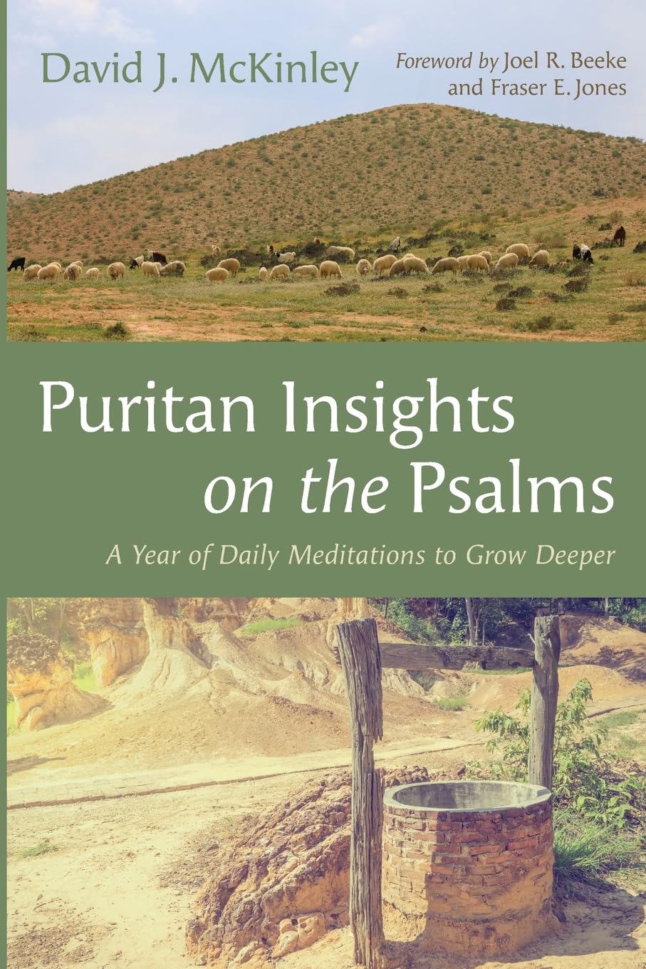 Puritan Insights on the Psalms Religion & Esotericism