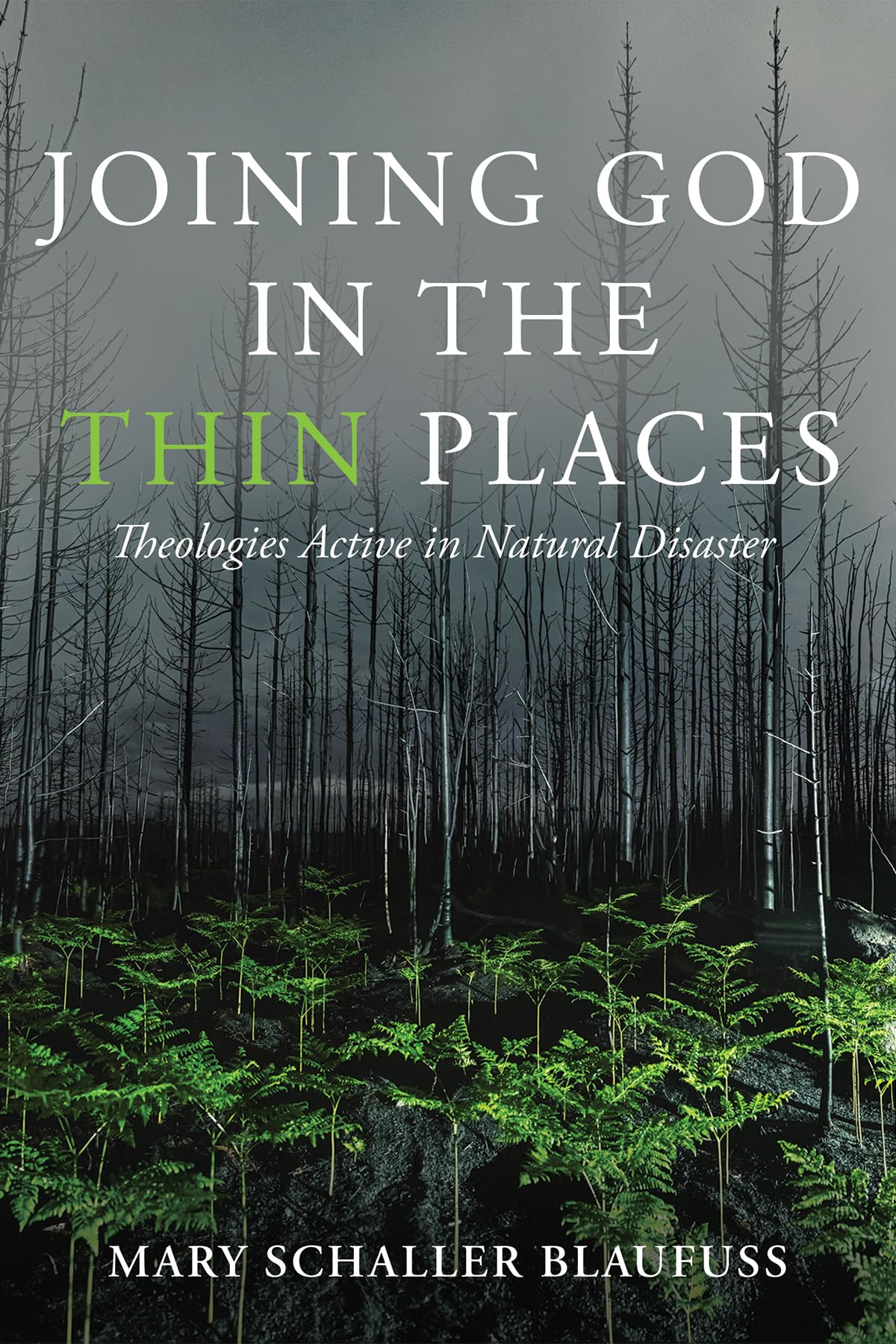 Joining God in the Thin Places Mathematics