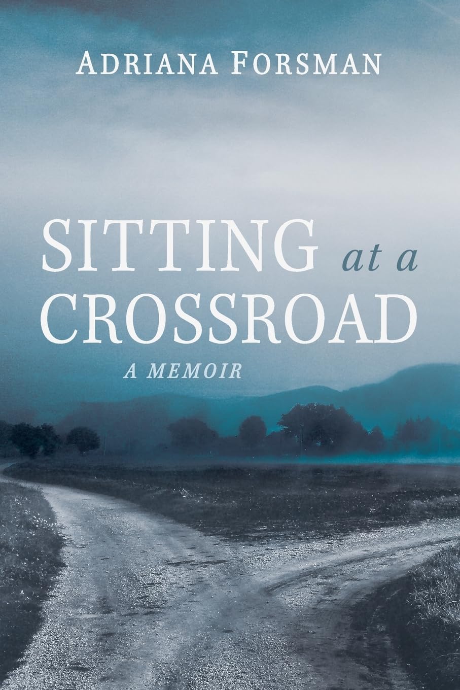 Sitting at a Crossroad Books