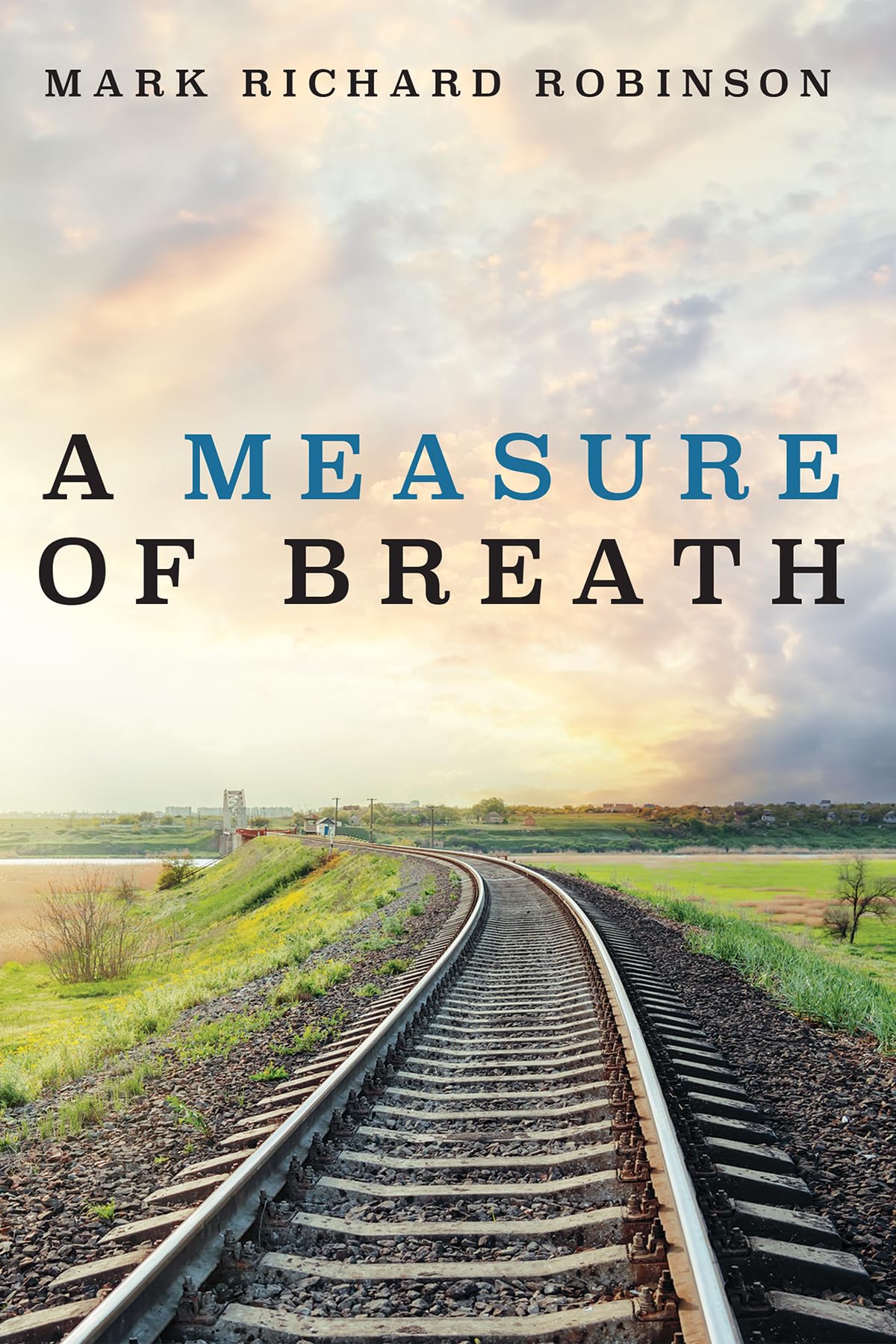 A Measure of Breath Suspense & Thrillers
