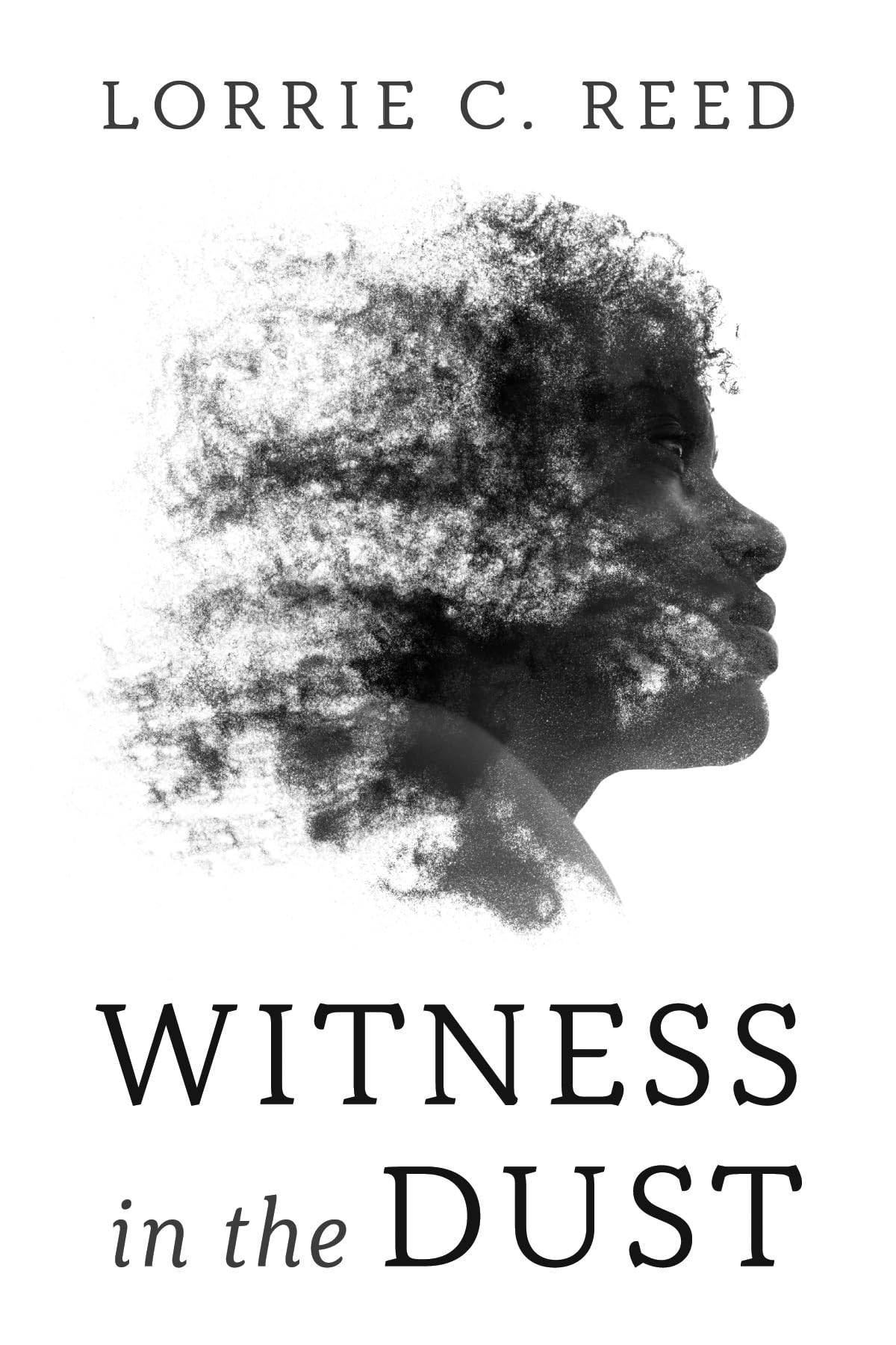 Witness in the Dust Contemporary literature