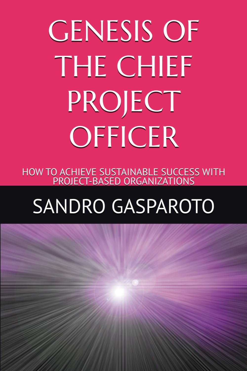 Genesis of the Chief Project Officer: How to achieve sustainable success with project-based organizations Business, Finance & Career
