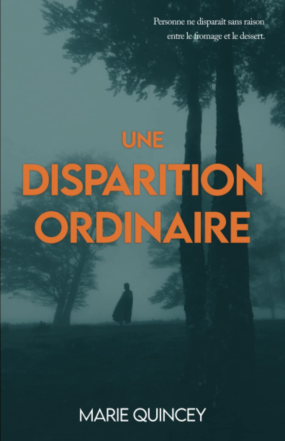 Une Disparition Ordinaire book