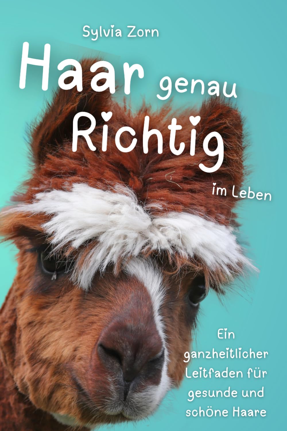 Haargenau richtig im Leben: Ein ganzheitlicher Leitfaden für gesunde und schöne Haare Lifestyle