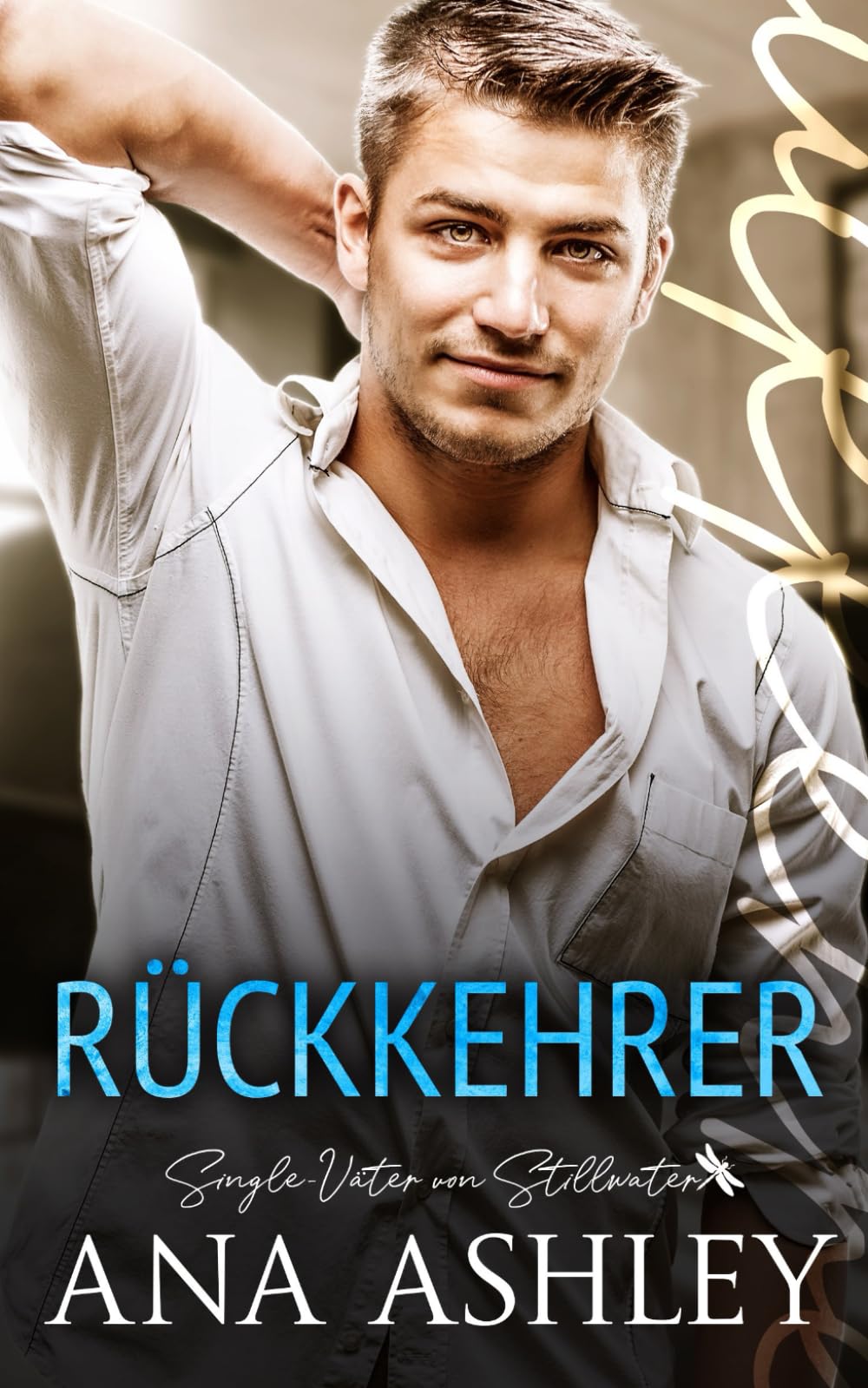 Rückkehrer (Single-Väter von Stillwater, Band 1) LGBTQ+