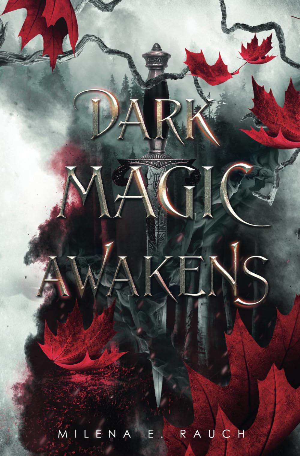 Dark Magic Awakens: (Ein düsterer Enemies-to-Lovers Hexen-Einzelband) book
