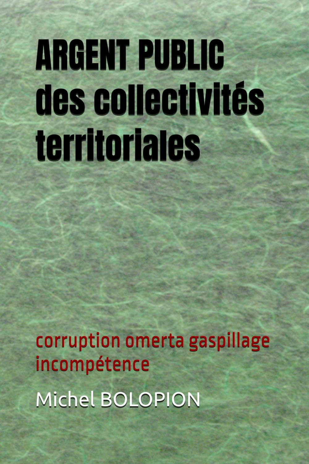 ARGENT PUBLIC des collectivités territoriales: corruption omerta gaspillage incompétence Politics & History