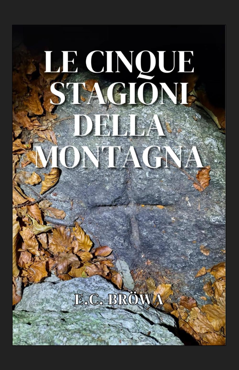 Le cinque stagioni della montagna (L’anima della montagna, Band 3) Social Sciences