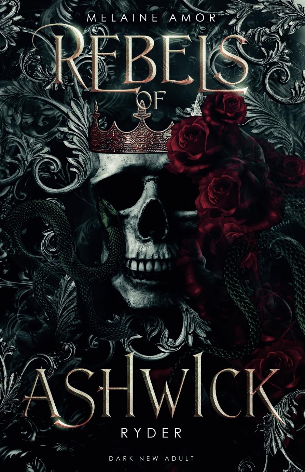 Rebels of Ashwick - Ryder (Dark New Adult) Suspense & Thrillers