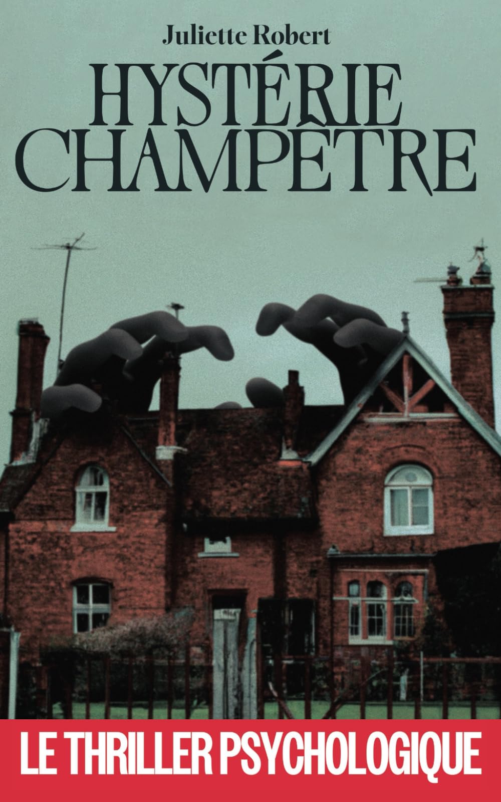 Hystérie champêtre: Suspense et Sentiments book