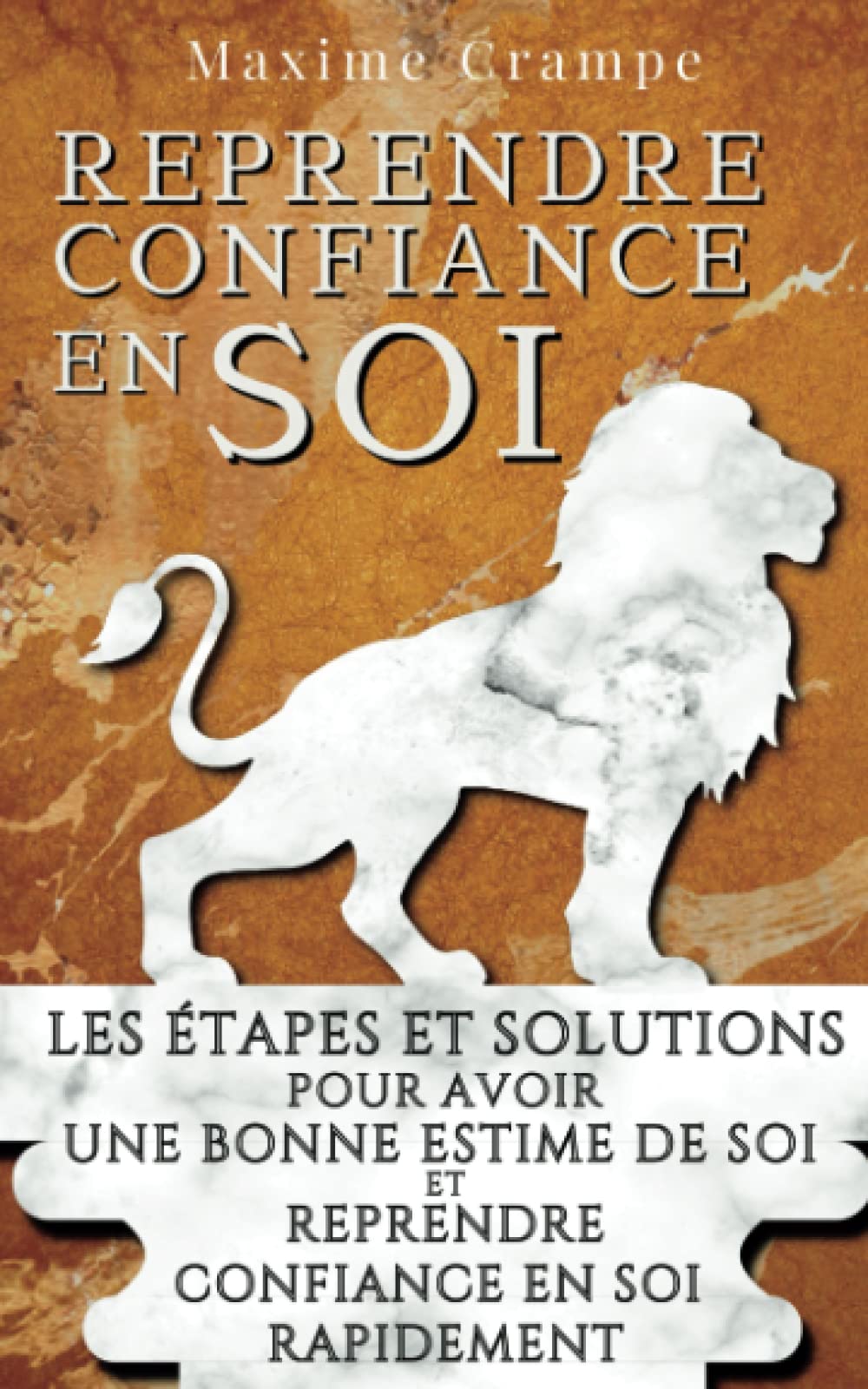 REPRENDRE CONFIANCE EN SOI: Les étapes et solutions pour avoir une bonne estime de soi et reprendre confiance en soi rapidement book