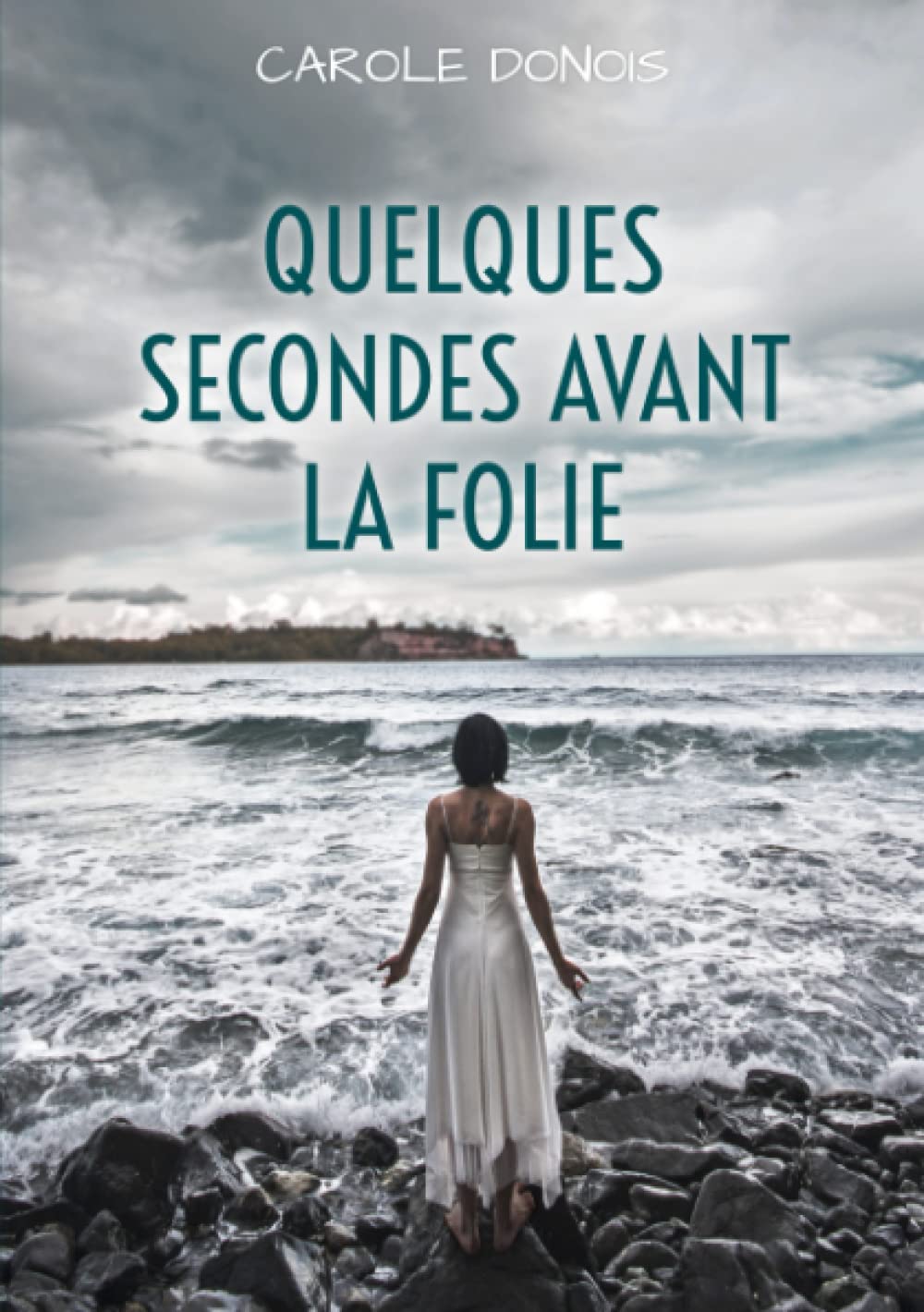 QUELQUES SECONDES AVANT LA FOLIE book