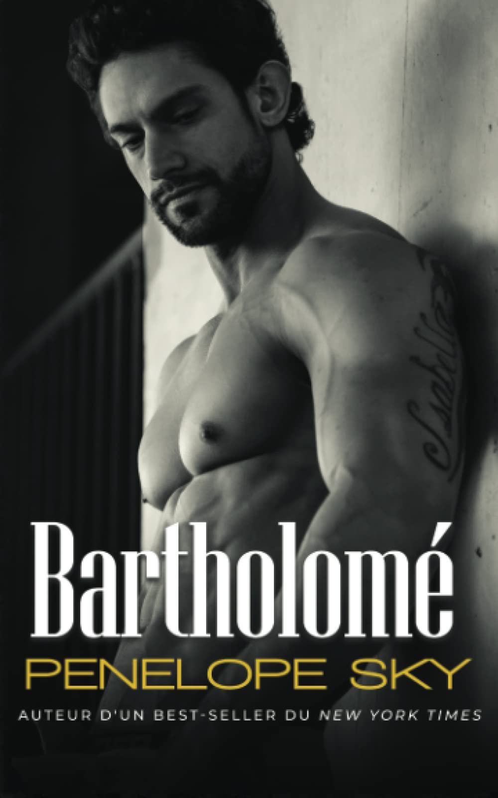 Bartholomé (Empire (French), Band 1) Contemporary literature