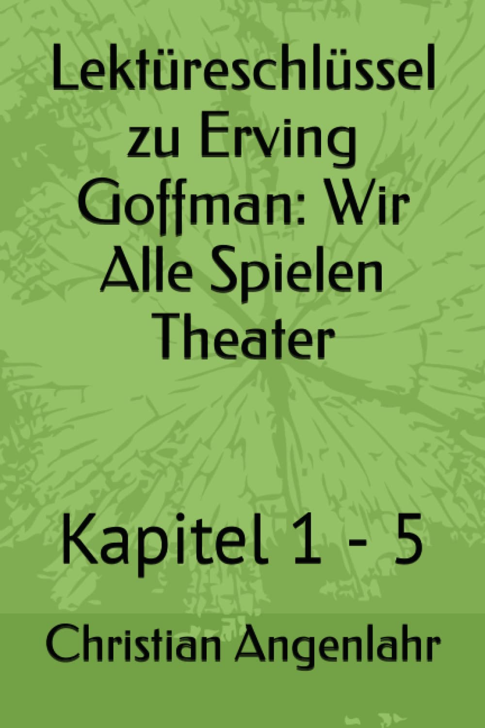 Lektüreschlüssel zu Erving Goffman: Wir Alle Spielen Theater: Kapitel 1 - 5 Social Sciences