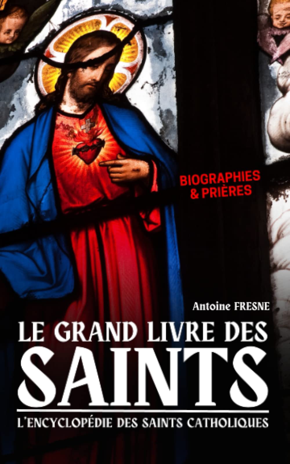 Le Grand Livre des Saints: L'encyclopédie des Saints Catholiques book