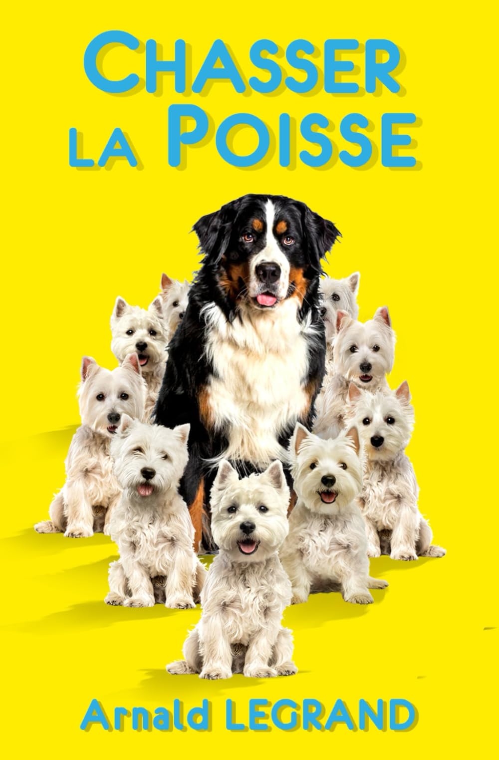 Chasser la poisse: Une comédie romantique qui a du chien ! Humour & Satire