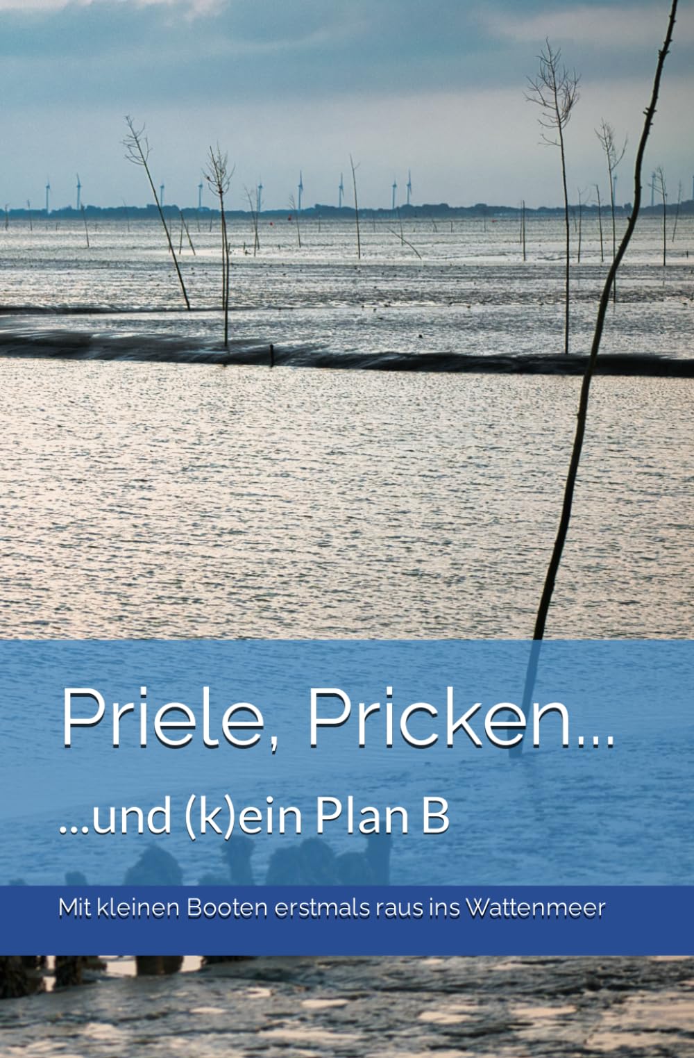 Priele, Pricken und (k)ein Plan B: Erste Wege ins Watt mit kleinen Kreuzern und Motor und Segel (Seefunk, Sportbootführerscheine und Törns ins Wattenmeer) Leisure & Fun