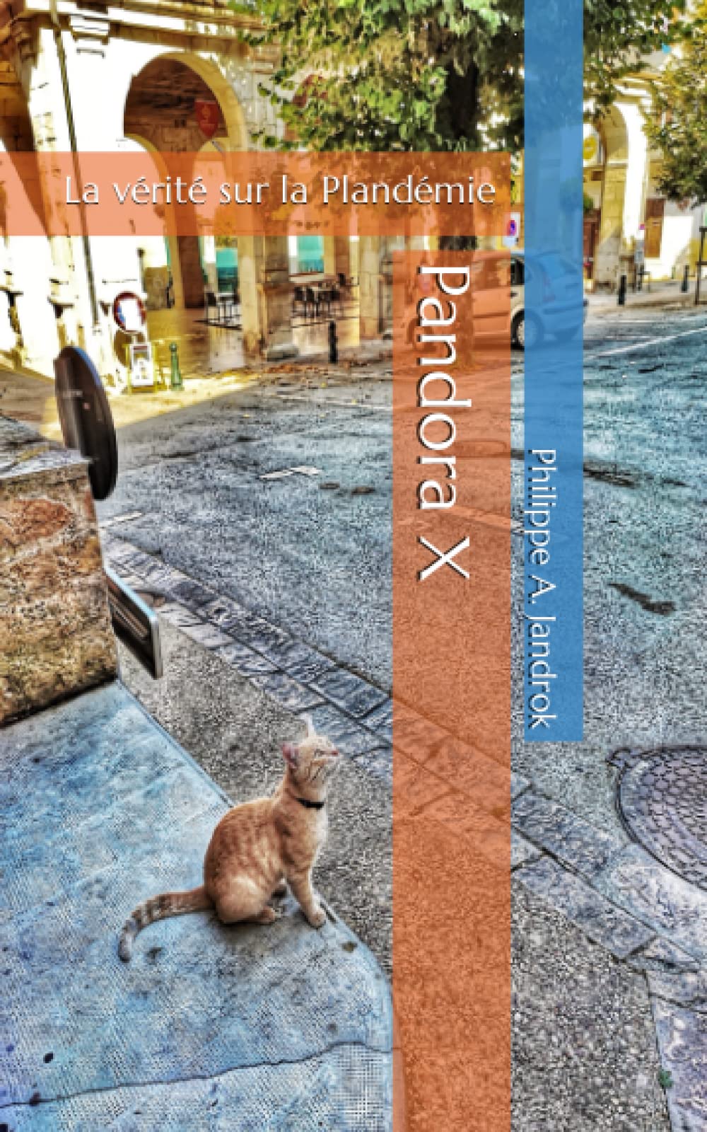 Pandora X: La vérité sur la Plandémie book
