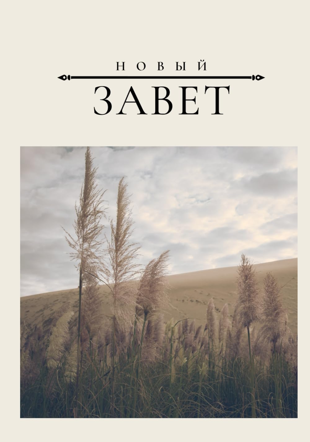 Библия, Новый Завет: New Testament Russian Bible, Notetaking Bible International