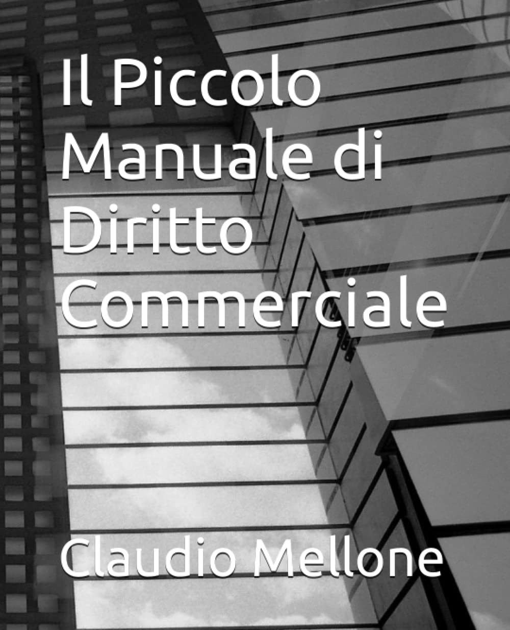 Il Piccolo Manuale di Diritto Commerciale: Con 65 schemi esplicativi aggiornato al codice della crisi dell'impresa e dell'insolvenza per un apprendimento veloce e completo book