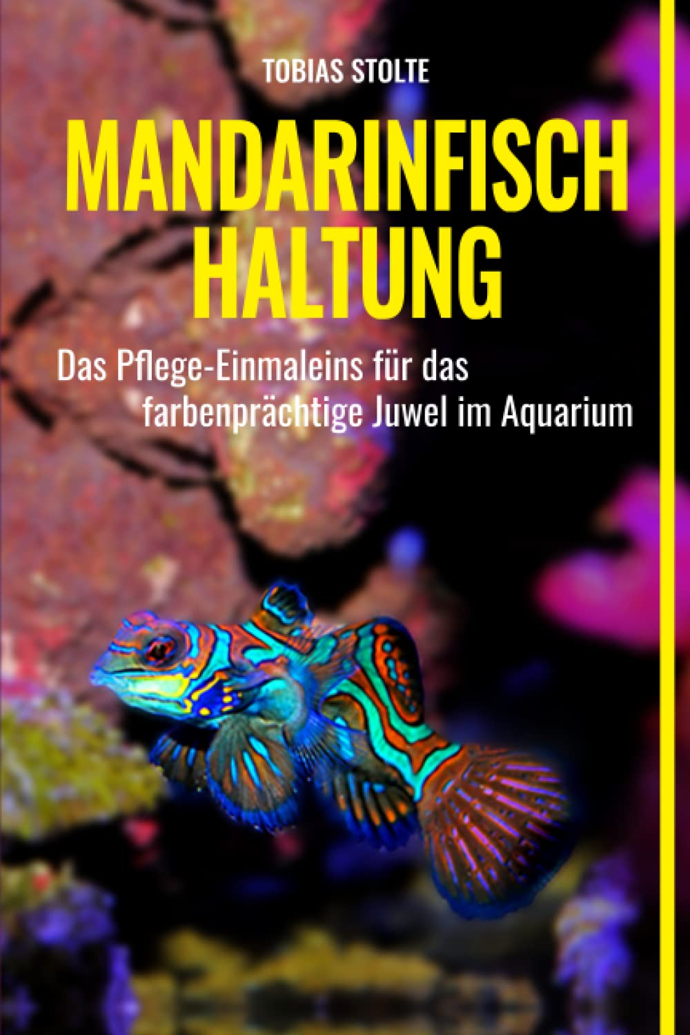 Mandarinfisch Haltung: Pflege-Einmaleins für das farbenprächtige Juwel im Aquarium Pets