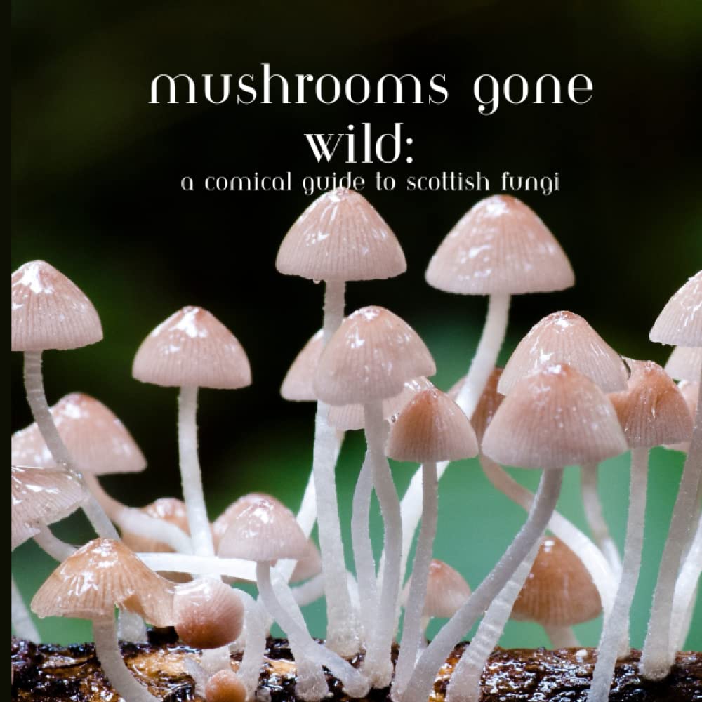 Mushrooms Gone Wild: A Comical Guide to Scottish Fungi Mathematics