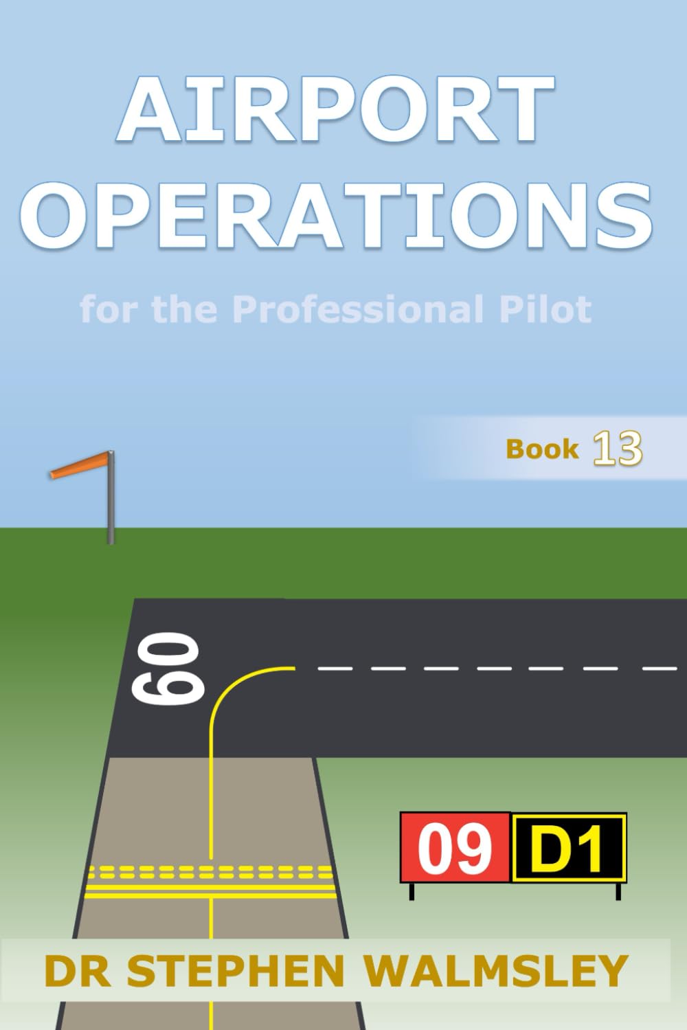 Airport Operations for the Professional Pilot (Aviation Books Professional Pilot Series, Band 1) Business & Technology
