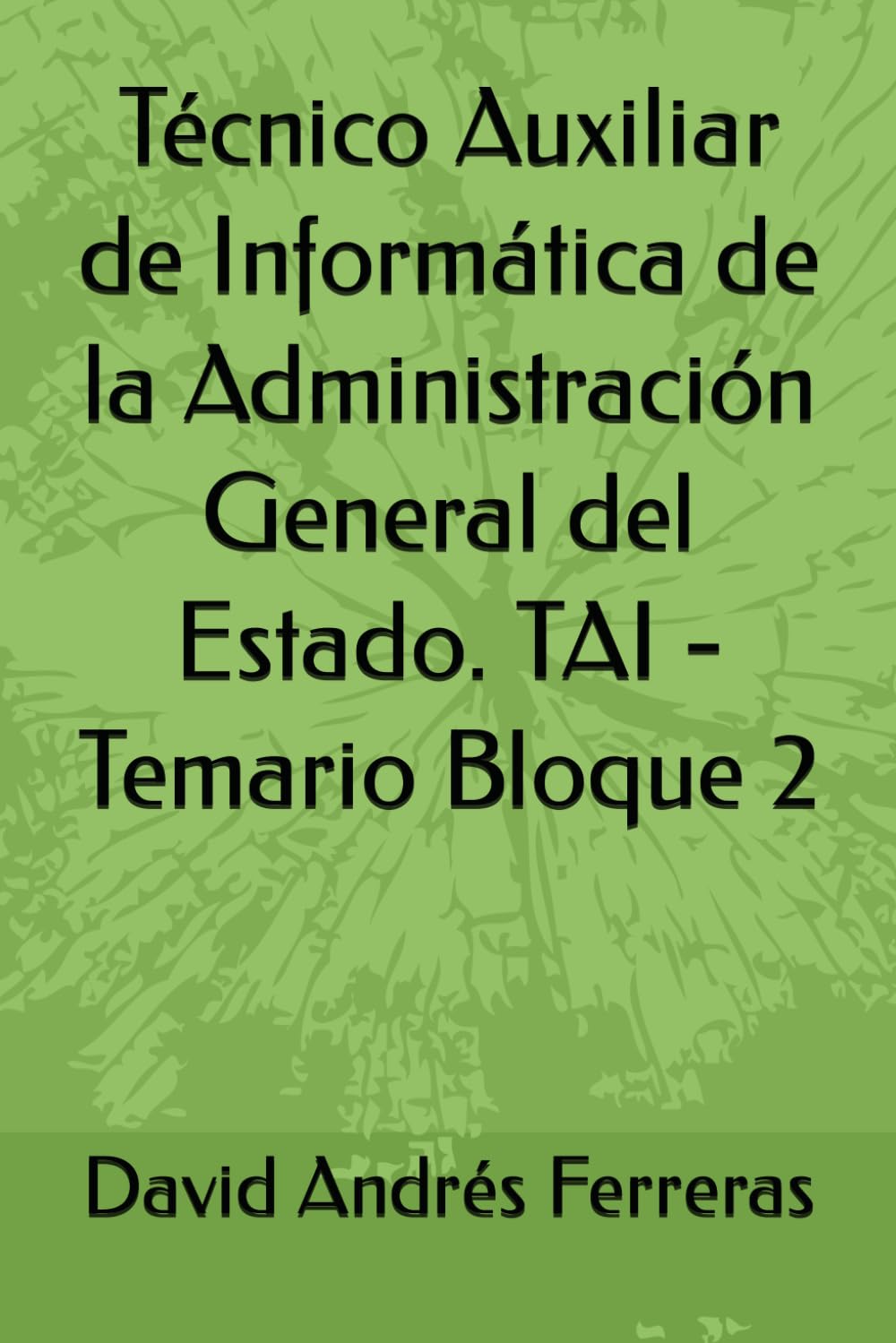 Técnico Auxiliar de Informática de la Administración General del Estado. TAI - Temario Bloque 2 book