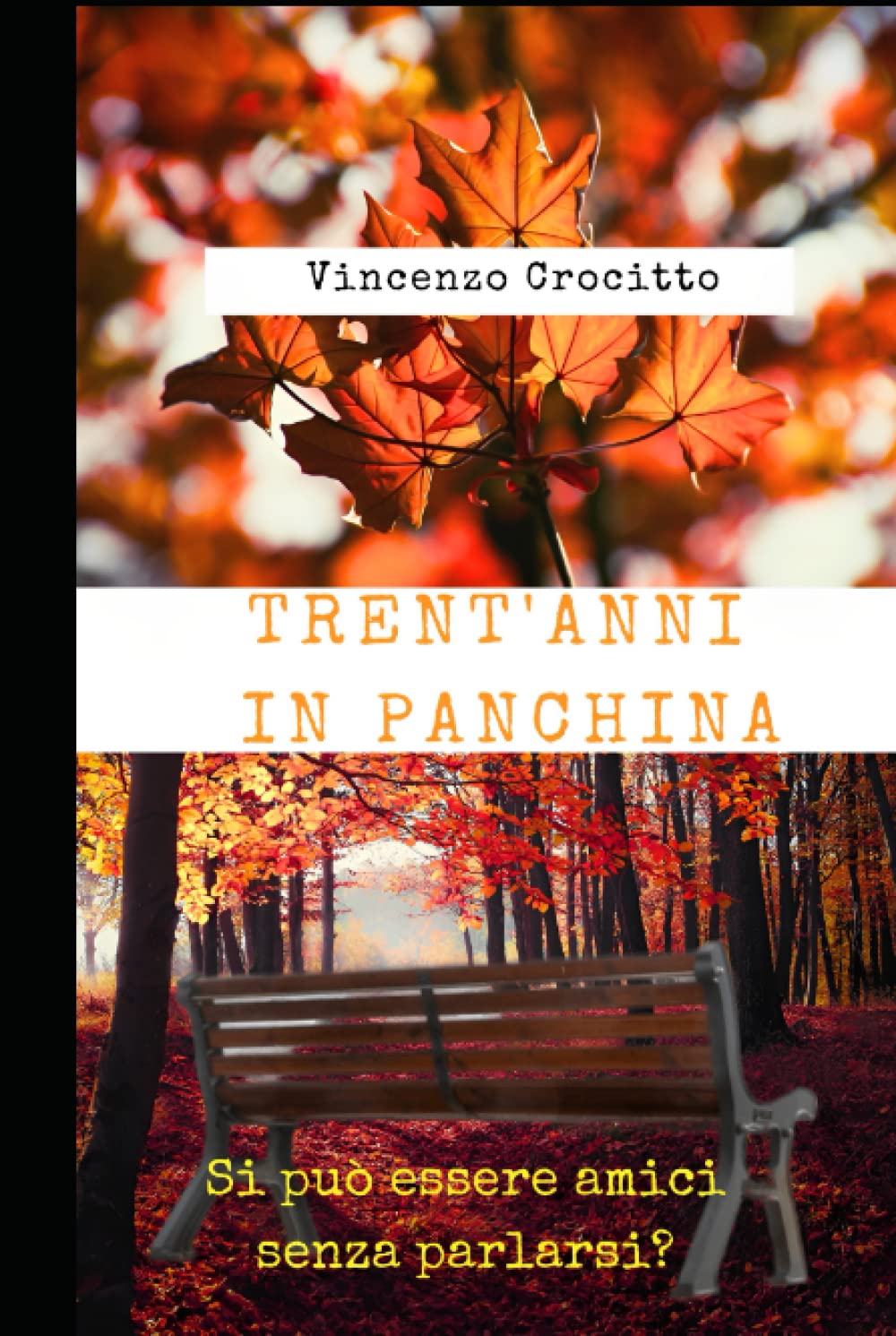 TRENT'ANNI IN PANCHINA book