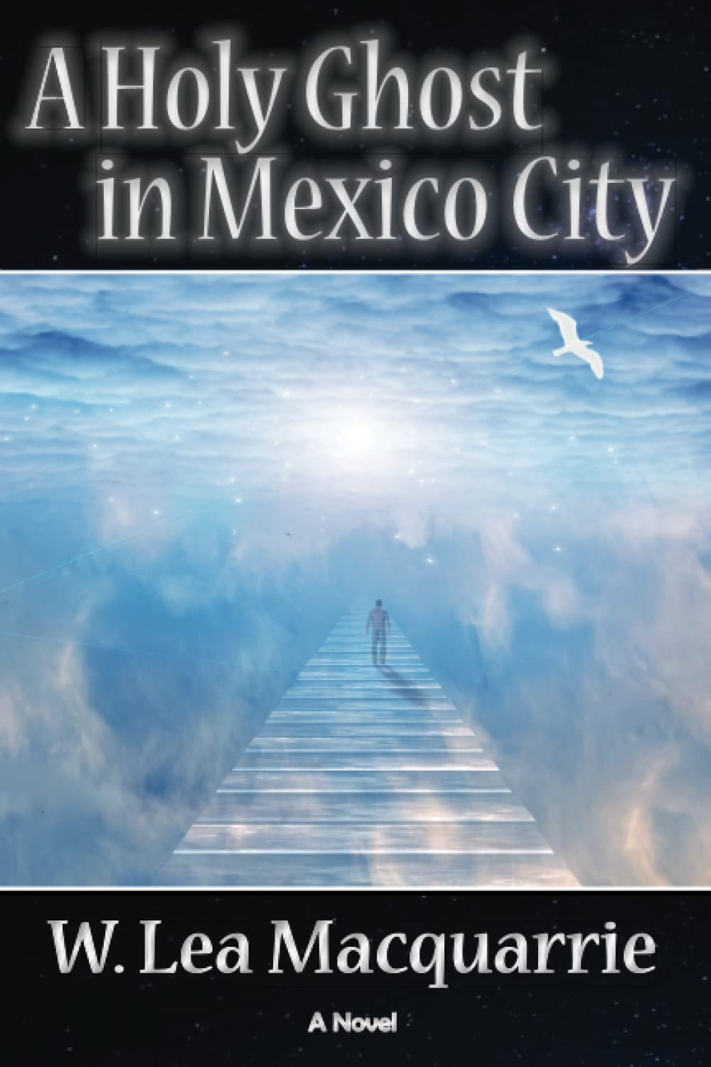 A Holy Ghost in Mexico City Contemporary literature
