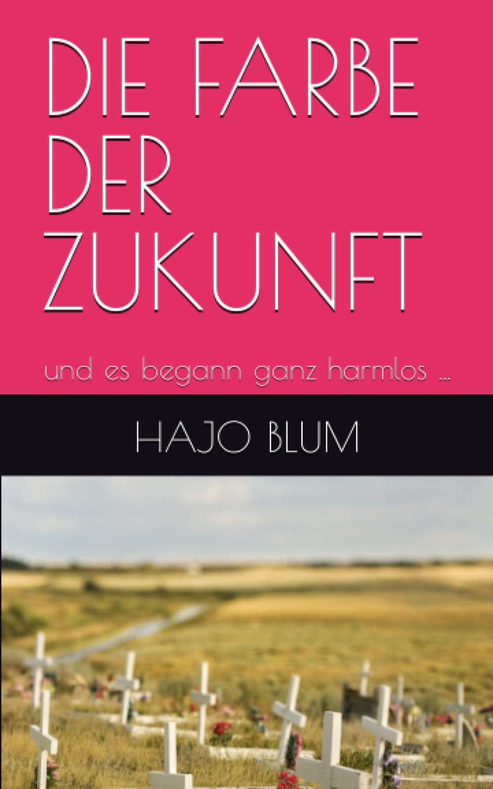 DIE FARBE DER ZUKUNFT: und es begann ganz harmlos ... book