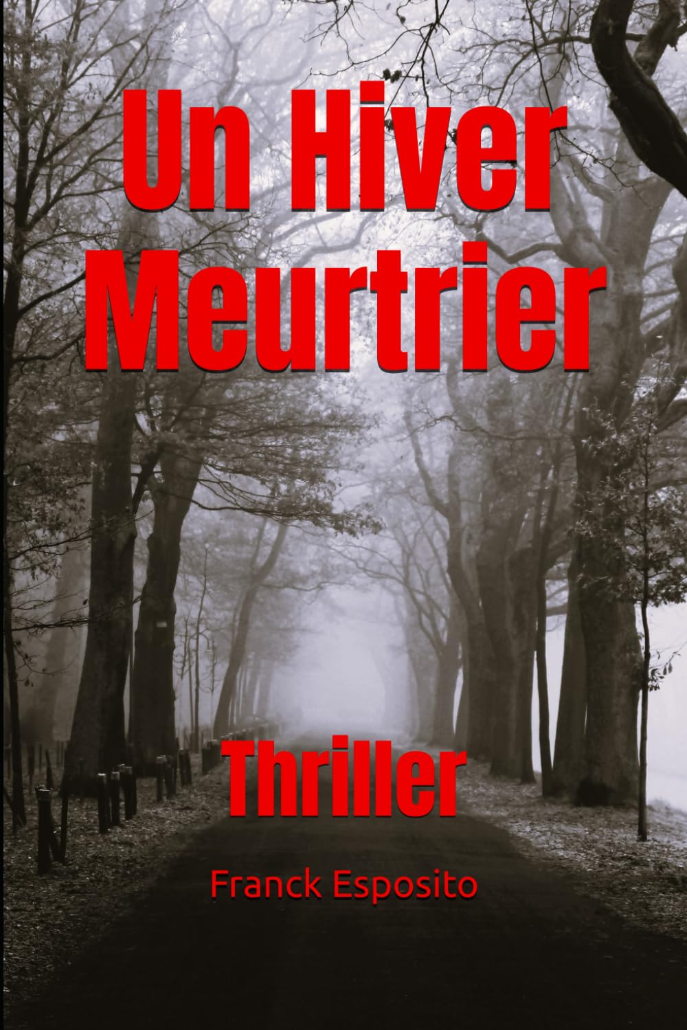Un Hiver Meurtrier: Thriller (Les enquêtes de Laura Costa., Band 2) Suspense & Thrillers