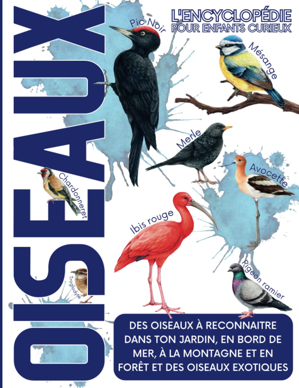 L'encyclopédie des Oiseaux pour Enfants Curieux: Imagier en couleur pour découvrir et reconnaître les oiseaux de France et d'ailleurs Non-fiction