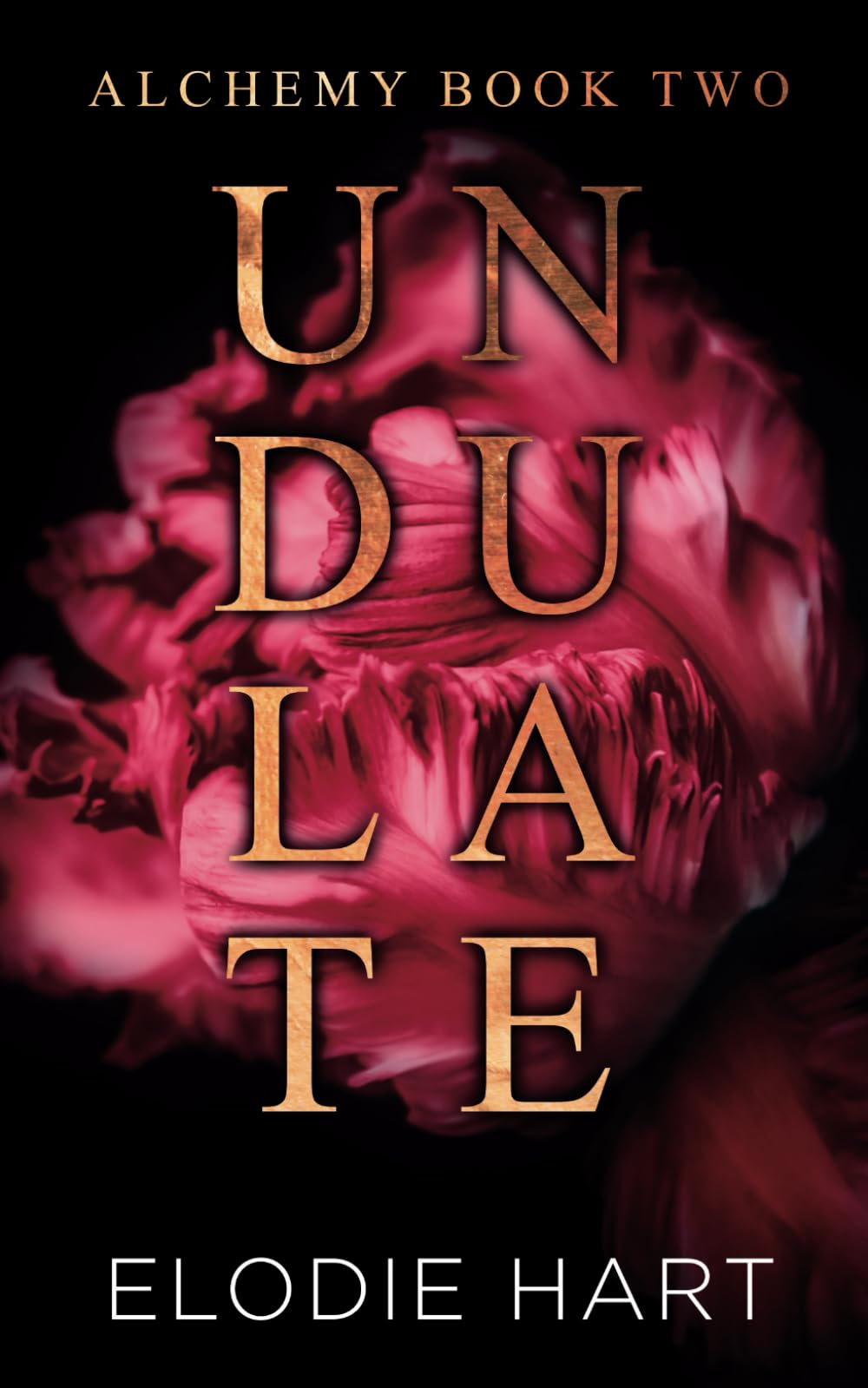 Undulate: A Hot Age Gap, Single Dad Romance (Alchemy, Band 2) Contemporary literature