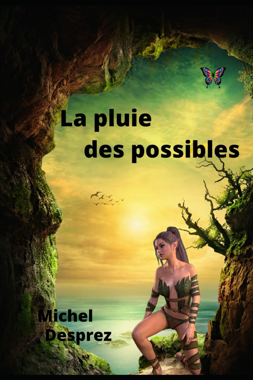 La pluie des possibles book