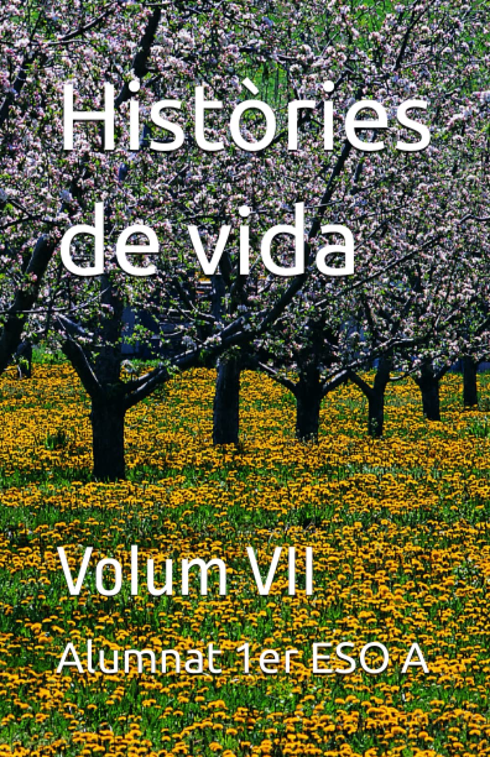 Històries de vida: Volum VII Memories